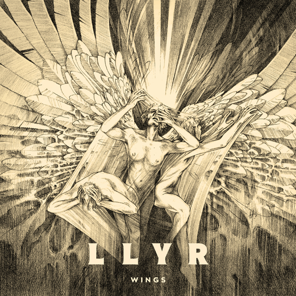 LLYR Wings