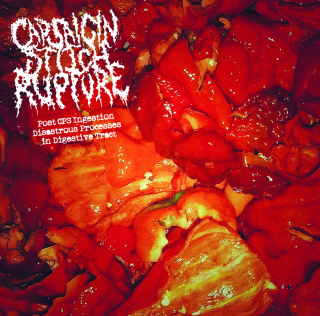 CAPSAICIN STITCH RUPTURE Post CPS Ingestion Disastrous Processes...